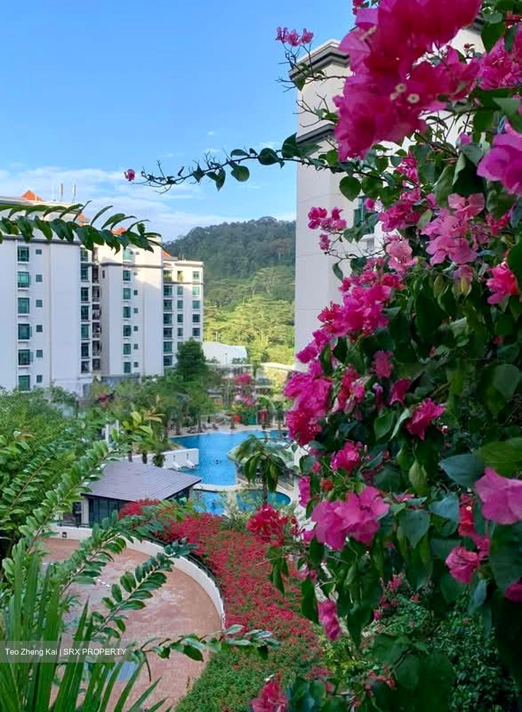 The Hillside (D21), Condominium #610578311